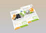 design product launch flyers or promotional posters